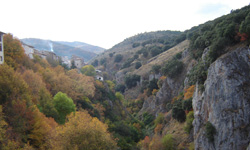 Rioja view