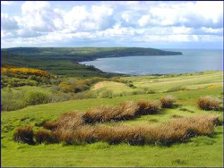 north york moors.jpg