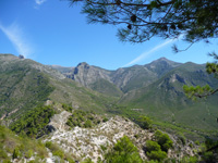 Axarquia hills