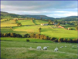 north york moors